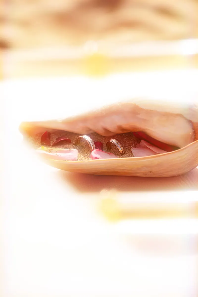 Wedding rings resting in a seashell - Dragonzay Photography