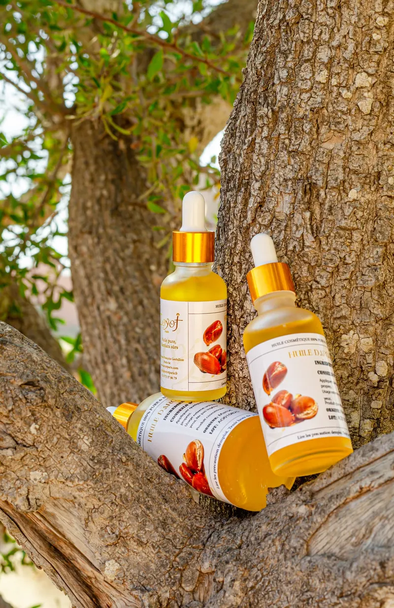 Argan oil bottles placed in an argan tree - Dragonzay Photography