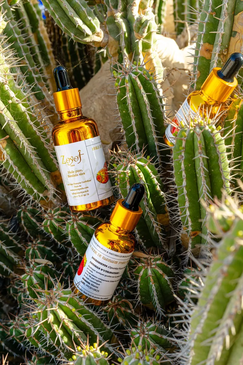 Prickly pear seed oil bottles among the cacti - Dragonzay Photography