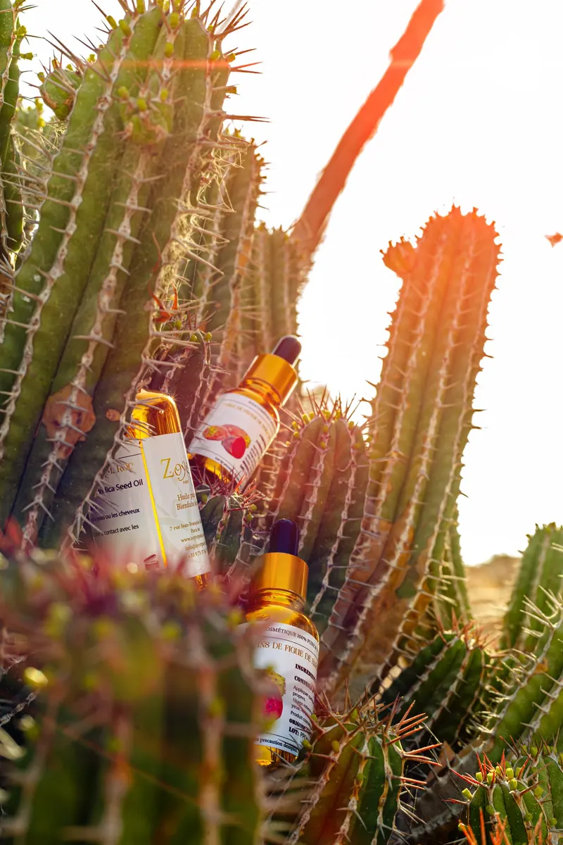 Prickly pear seed oil bottles among the cacti - Dragonzay Photography