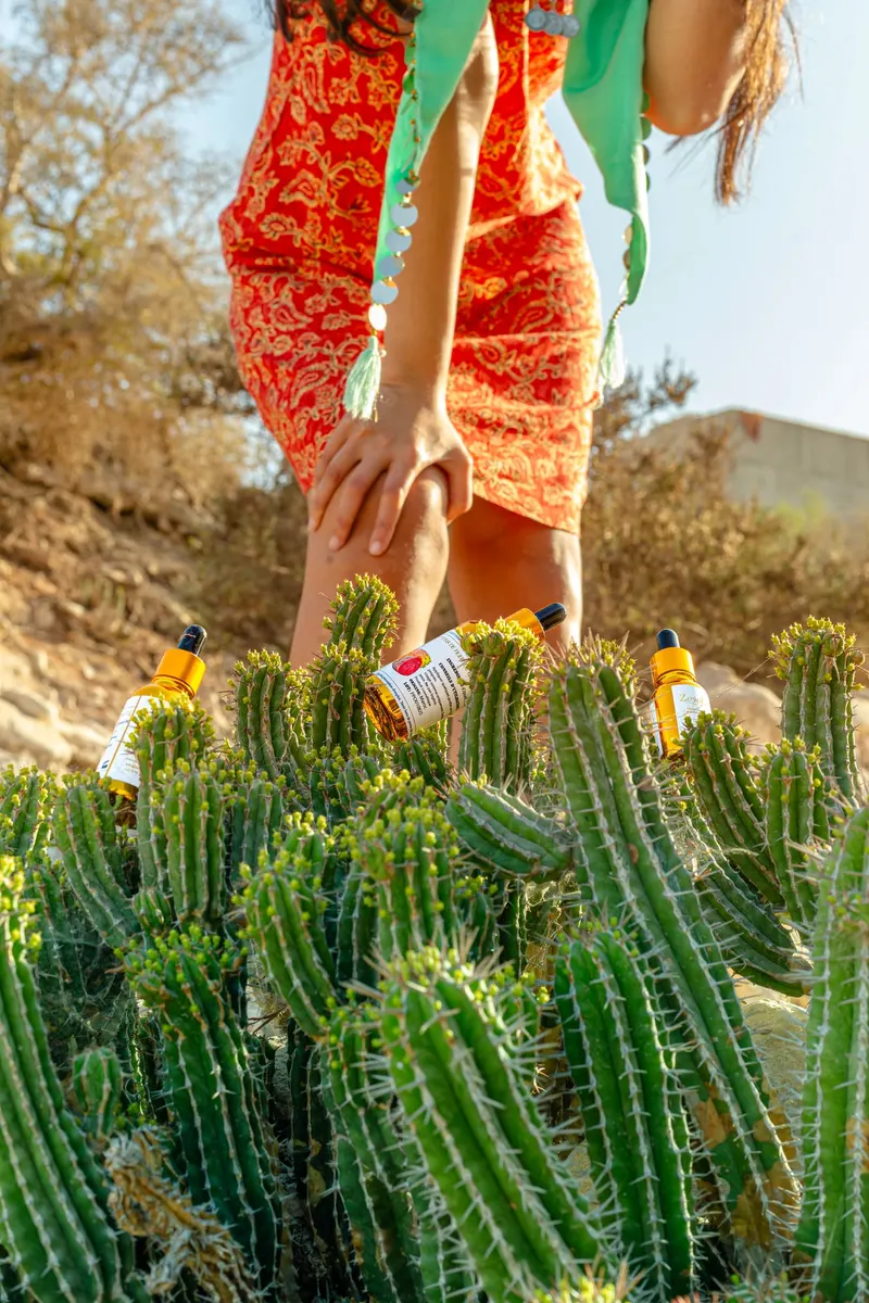 Prickly pear seed oil bottles among the cacti - Dragonzay Photography